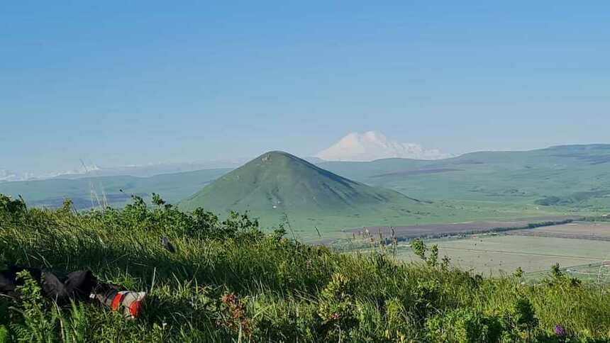 Калининградцы победили на всероссийском турнире по парапланеризму - Новости Калининграда | Фото Сергей Бажанов