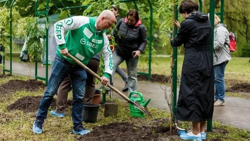 Новое место притяжения для местных и туристов: в Калининграде банк подарил городскому парку перголу - Новости Калининграда