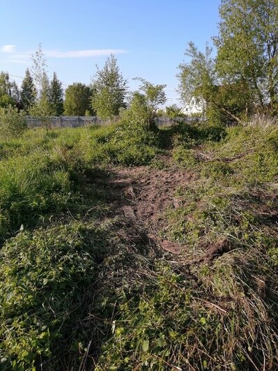 Под Зеленоградском снесли старую водонапорную башню, на которой было гнездо аиста (фото) - Новости Калининграда | Участок, где раньше было сооружение