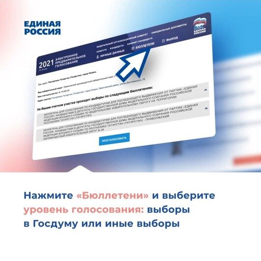 Выбери своего кандидата от «Единой России» - Новости Калининграда