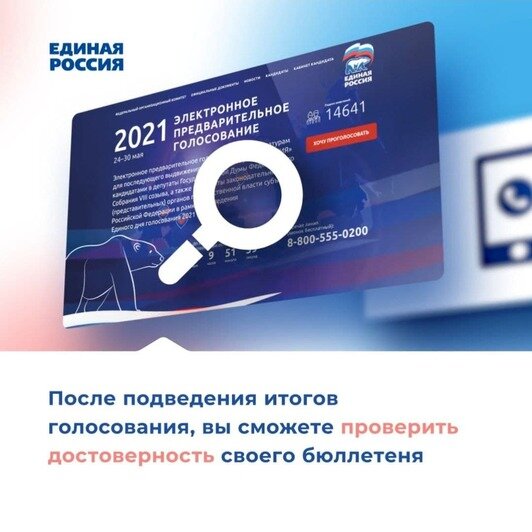 Выбери своего кандидата от «Единой России» - Новости Калининграда