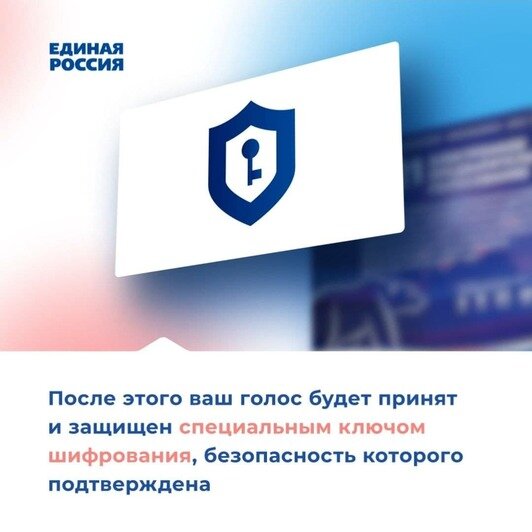 Выбери своего кандидата от «Единой России» - Новости Калининграда