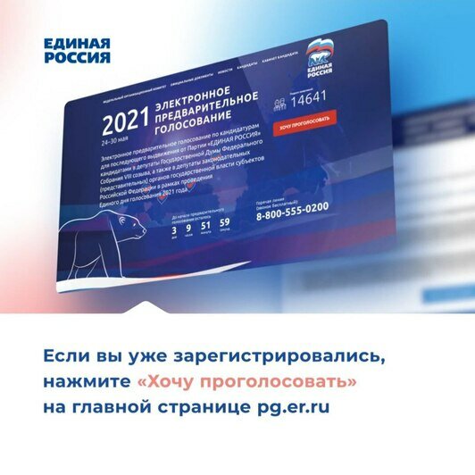 Завершается предварительное голосование за кандидатов партии «Единая Россия» - Новости Калининграда