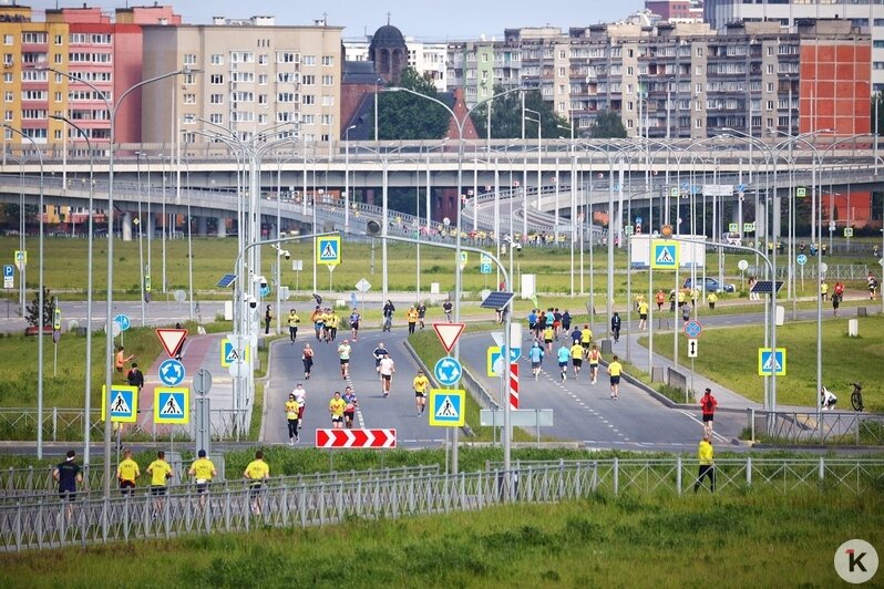 В Калининграде число участников всероссийского полумарафона увеличилось почти вдвое (фото) - Новости Калининграда | Фото: Александр Подгорчук / «Клопс»