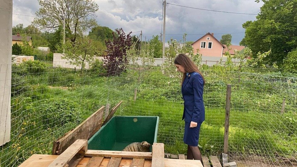 Калининградская прокуратура: «Биосфера Балтики» содержала краснокнижных тюленей с нарушениями - Новости Калининграда | Фото: межрайонная природоохранная прокуратура Калининградской области