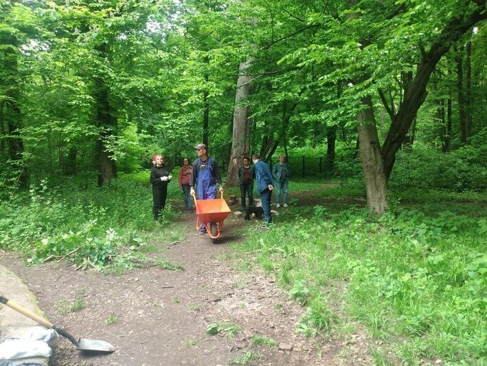 На Литовском валу, где вандалы разбили скамейку и памятник немецкой брусчатке, прошёл субботник  - Новости Калининграда | Фото: Архив «Клопс»