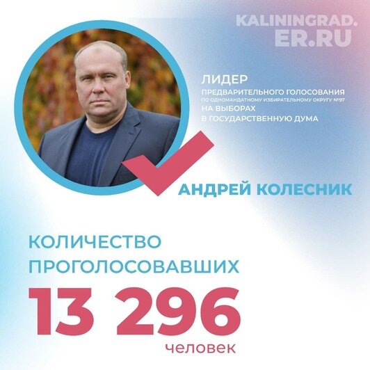 Калининградцы выбрали своих кандидатов партии «Единая Россия» - Новости Калининграда