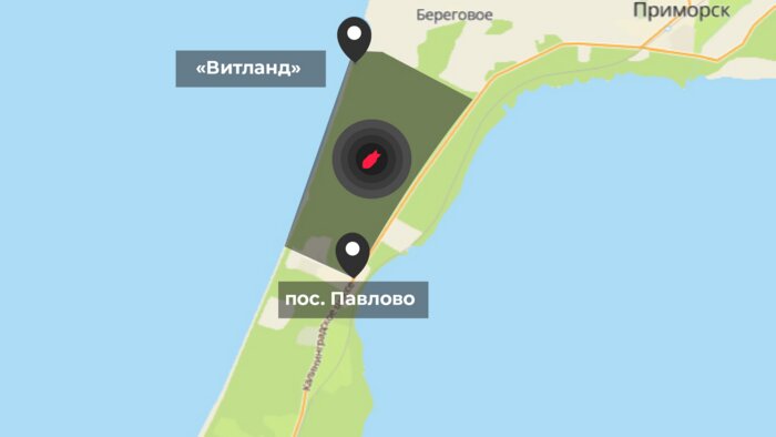 Где под Балтийском запретили гулять на время разминирования леса (карта) - Новости Калининграда | Иллюстрация: Евгения Будадина / «Клопс»