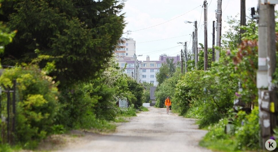 «Боимся отпускать детей одних»: как живёт СНТ под Калининградом, где мужчина изнасиловал мальчика - Новости Калининграда | Фото: Александр Подгорчук / «Клопс»