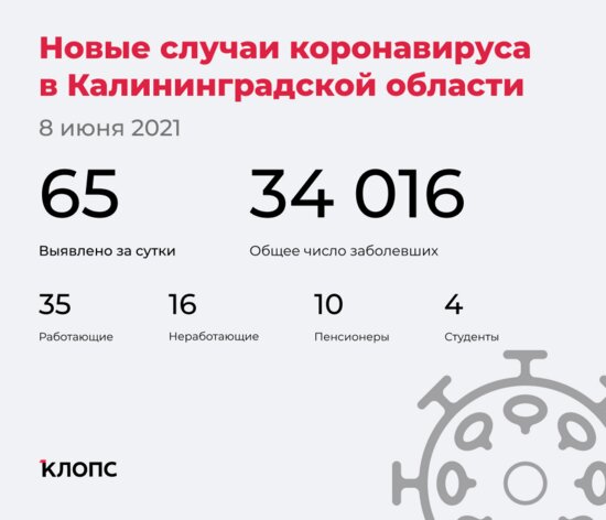 65 заболели, 62 выздоровели: ситуация с COVID-19 в Калининградской области на 8 июня - Новости Калининграда