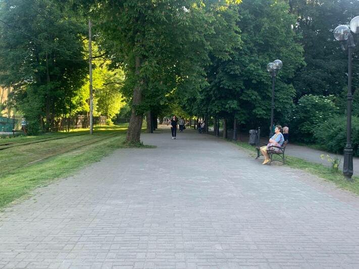 На Фестивальной аллее в Калининграде отделят велодорожку и улучшат освещение - Новости Калининграда | Фото: Елена Дятлова / Facebook