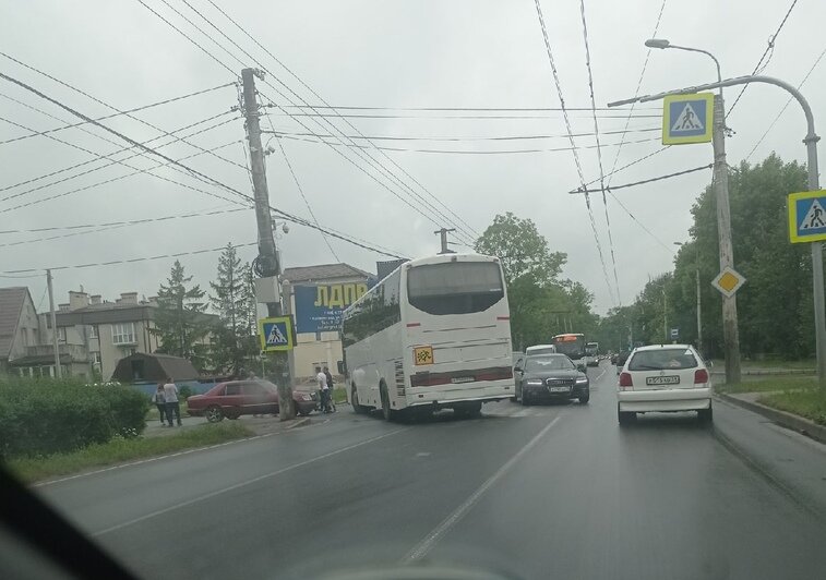 На Советском проспекте собралась пробка из-за ДТП с автобусом (фото, видео) - Новости Калининграда | Фото: Андрей Богданов