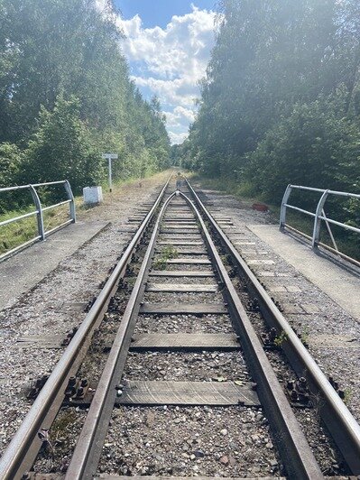 Железнодорожный мост в Токаревке