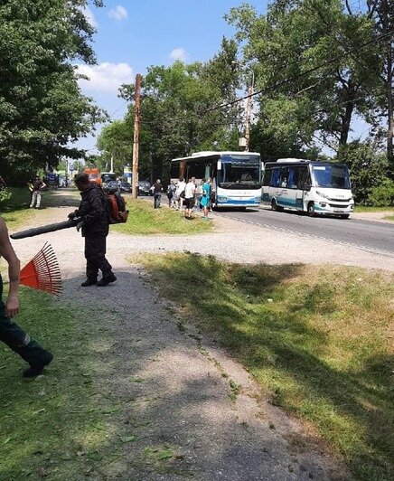 В Калининграде вылетевший из-под газонокосилки камень разбил стекло проезжавшего мимо автобуса (фото) - Новости Калининграда