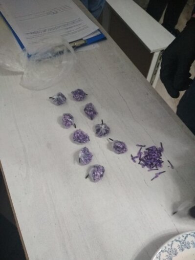 В Калининграде будут судить вооружённую ОПГ, торговавшую героином - Новости Калининграда | Фото: пресс-служба регионального УМВД