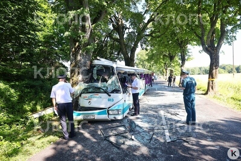 ДТП с пассажирским автобусом под Янтарным — фоторепортаж - Новости Калининграда | Фото: Александр Подгорчук / «Клопс»