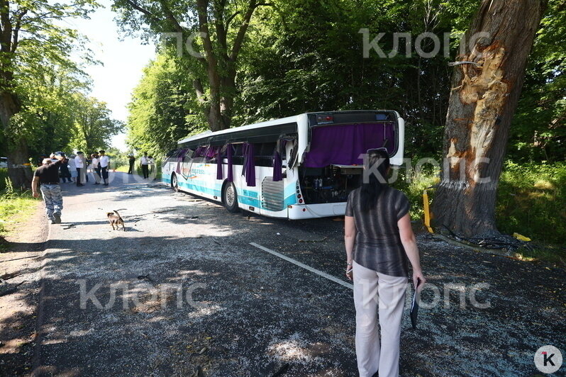 ДТП с пассажирским автобусом под Янтарным — фоторепортаж - Новости Калининграда | Фото: Александр Подгорчук / «Клопс»