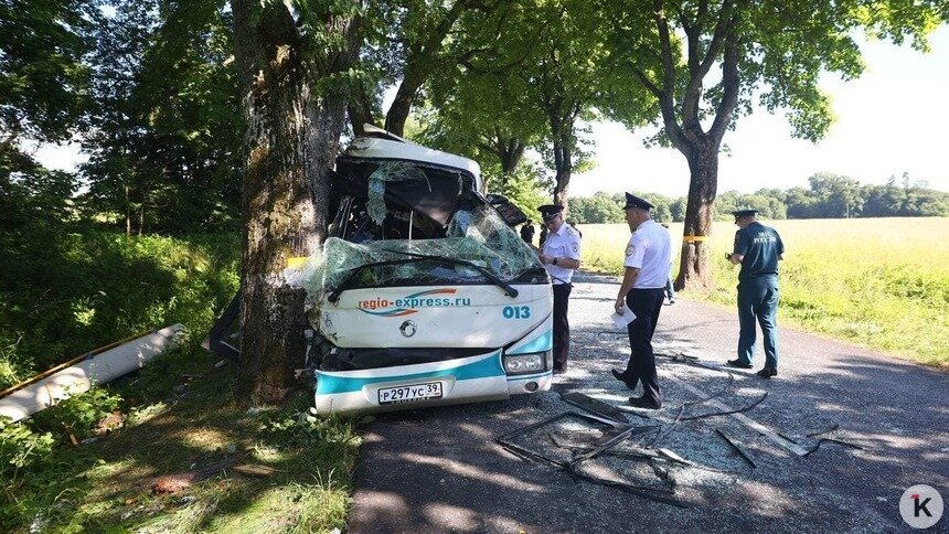 11 человек находятся в больнице после ДТП с пассажирским автобусом под Янтарным - Новости Калининграда | Фото Александра Подгорчука