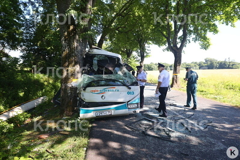 ДТП с пассажирским автобусом под Янтарным — фоторепортаж - Новости Калининграда | Фото: Александр Подгорчук / «Клопс»