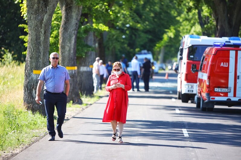 Под Янтарным пассажирский автобус въехал в дерево, есть пострадавшие (обновлено) - Новости Калининграда | Фото: Александр Подгорчук / «Клопс»