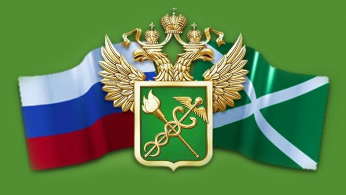 В калининградской школе открывается таможенный класс - Новости Калининграда