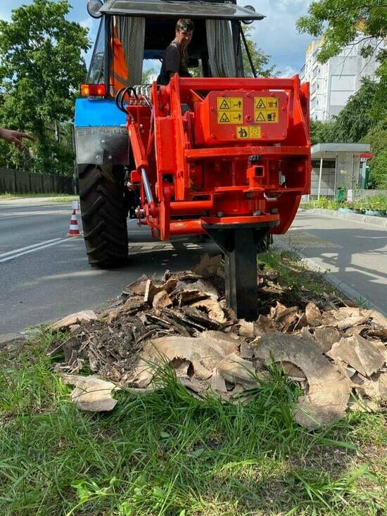 В Калининграде начали выкорчёвывать пни вдоль тротуаров для посадки деревьев - Новости Калининграда | Фото: МБУ «Чистота» / Facebook