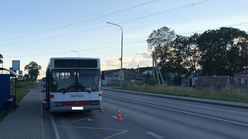В Гурьевском районе автобус сбил упавшую на дорогу пенсионерку (фото) - Новости Калининграда | Фото: пресс-служба УМВД России по Калининградской области