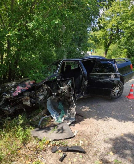 В Неманском районе 19-летняя девушка на Audi пыталась объехать кабана и врезалась в дерево - Новости Калининграда | Фото: пресс-служба регионального УМВД