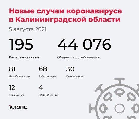 У 144 — ОРВИ, 49 болеют бессимптомно: подробности о ситуации с ковидом в Калининградской области - Новости Калининграда