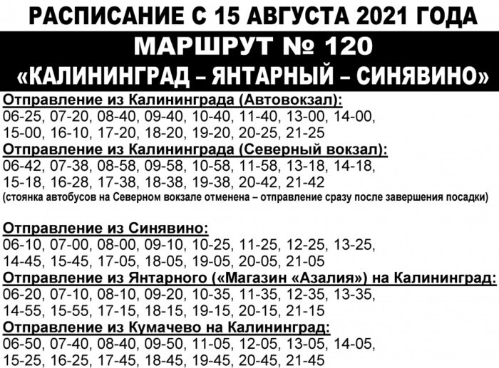 Стало известно, когда вновь запустят автобус «Калининград — Синявино» - Новости Калининграда | Изображение: сайт министерства инфраструктуры Калининградской области