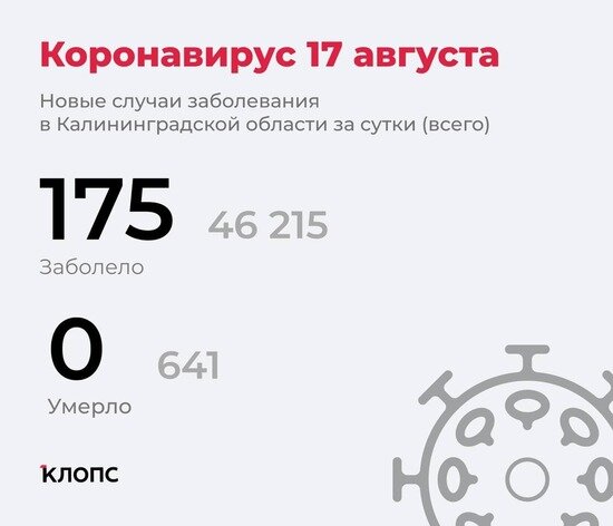 Дети, медики, водители: областной оперштаб сообщил подробности о ситуации с ковидом - Новости Калининграда | Инфографика: «Клопс»