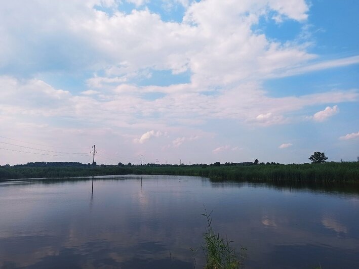 Выходят «бездельники» и играет музыка: топ-10 достопримечательностей Гвардейска - Новости Калининграда | Фото: Дарья Волкова