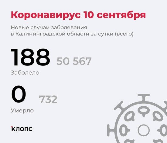 188 заболели и 205 выздоровели: всё о ситуации с ковидом в Калининградской области на пятницу - Новости Калининграда