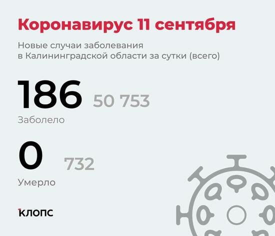 186 заболели и 183 выздоровели: всё о ситуации с ковидом в Калининградской области на субботу - Новости Калининграда