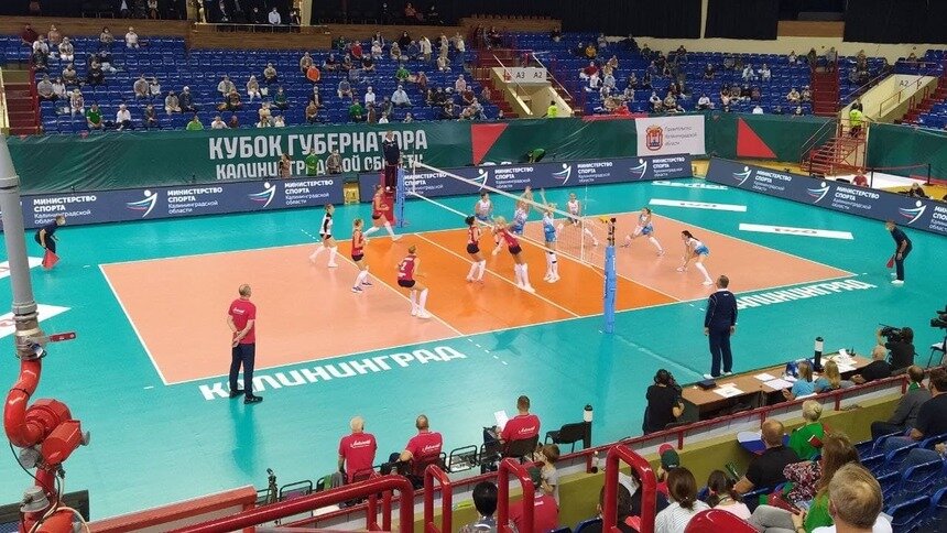 Старые знакомые и один дебютант: в Калининграде 5 команд сыграют в Кубке России по волейболу - Новости Калининграда | Фото: архив «Клопс»