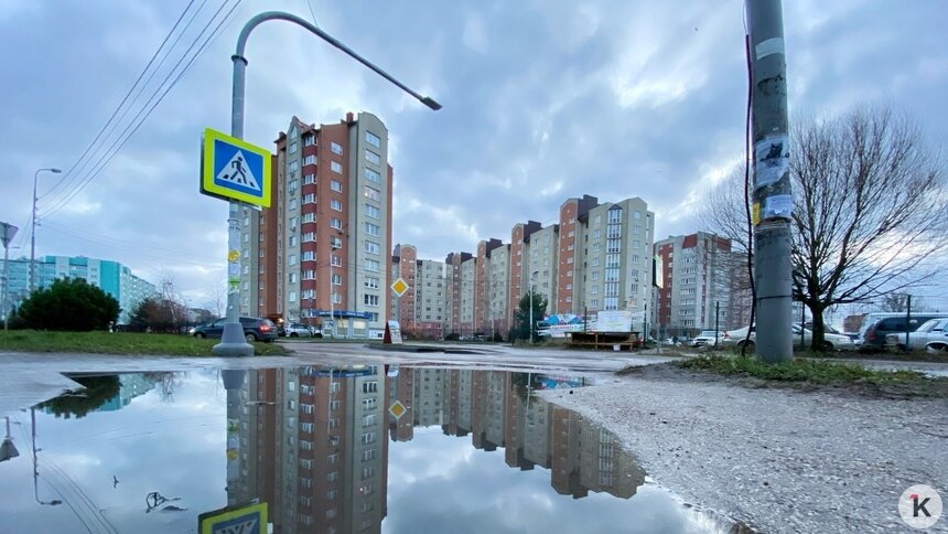 Дятлова назвала сроки завершения реконструкции Автомобильной - Новости Калининграда | Фото: Александр Подгорчук / Архив «Клопс»