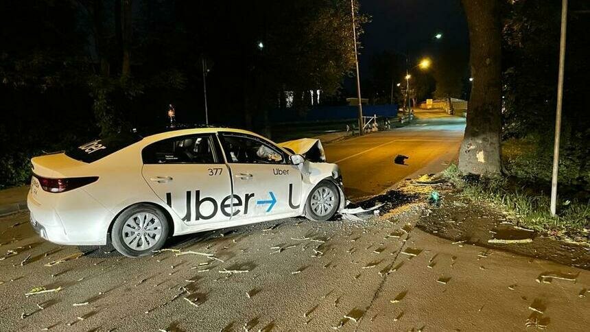 В Калининграде такси врезалось в придорожное дерево - Новости Калининграда | Фото: пресс-служба регионального УМВД