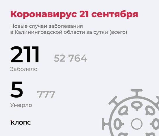 Калининградский оперштаб рассказал подробности о ситуации с коронавирусом - Новости Калининграда