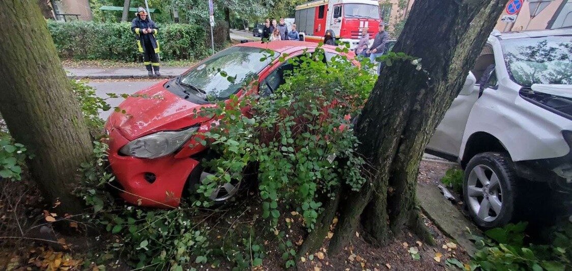 В Зеленоградске Lexus сбил столб, который затем упал в окно квартиры (фото) - Новости Калининграда | Очевидец