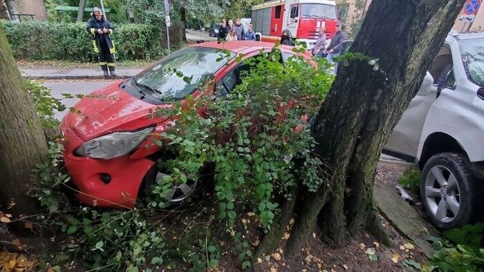 Пара упала с девятиэтажки, а пенсионерка попала под электричку: что случилось в Калининграде и области за выходные - Новости Калининграда | Фото очевидца