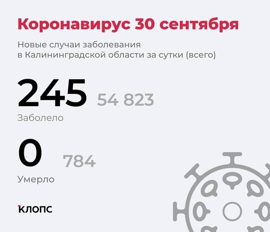 Калининградский оперштаб рассказал подробности о ситуации с коронавирусом - Новости Калининграда