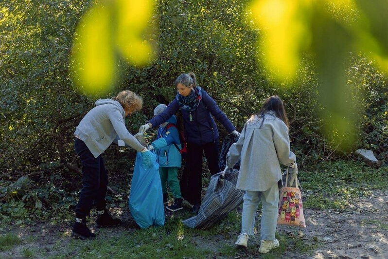 Жители Калининграда собрали 457,5 килограммов мусора во время «Чистых игр» - Новости Калининграда