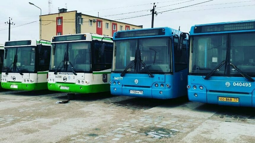 В Калининград привезли 15 московских ЛиАЗов - Новости Калининграда | Фото: глава администрации Калининграда Елена Дятлова / Instagram