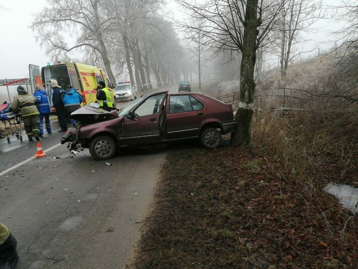 Под Черняховском легковушка врезалась в дерево, есть пострадавший (фото) - Новости Калининграда | Фото очевидца