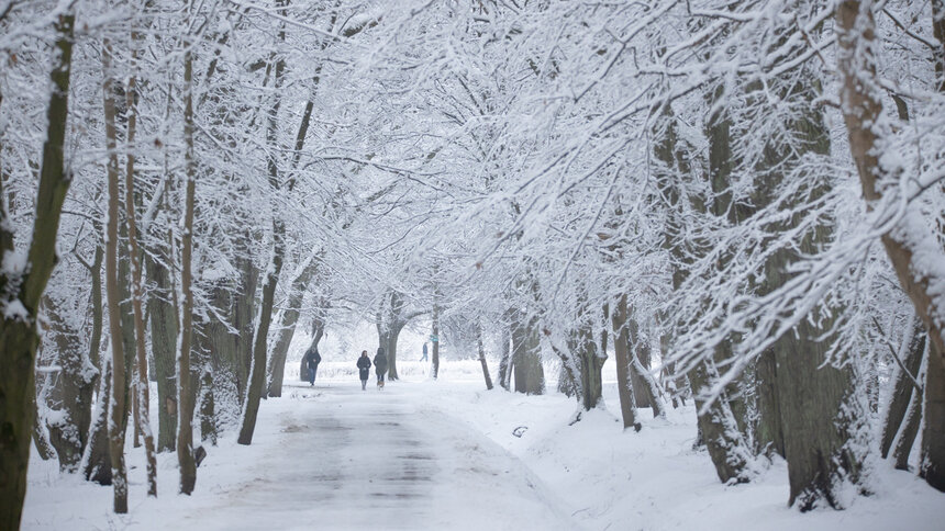 -18 и снег: погода в Калининграде на выходные - Новости Калининграда | Фото: Александр Подгорчук / "Клопс"