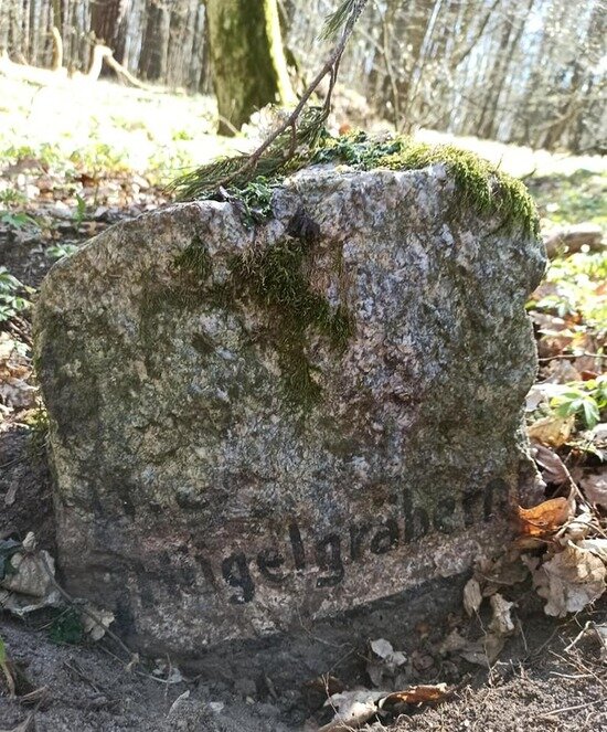 Часть археологического памятника — курганного могильника бронзового века | Фото: ЧУК &quot;Колесо истории&quot;(НКО) 