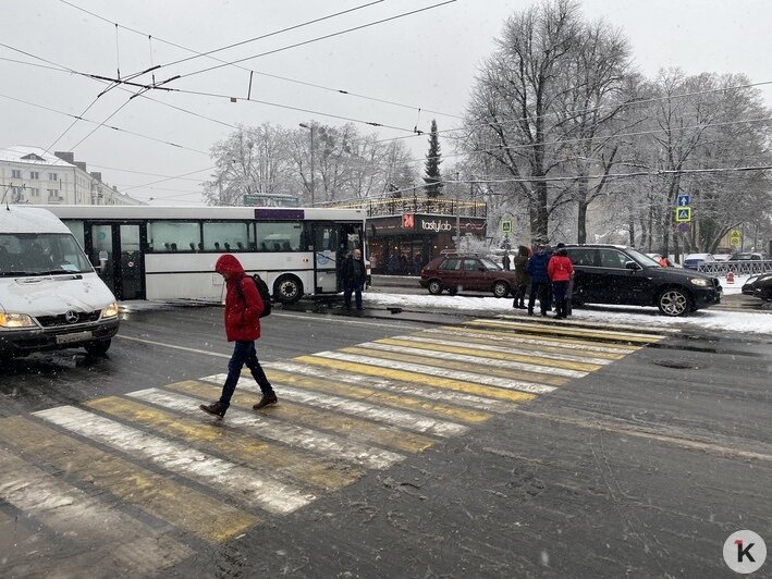 ДТП с пассажирским автобусом у зоопарка заблокировало движение по проспекту Мира (фото) - Новости Калининграда | Фото: Александр Подгорчук / &quot;Клопс&quot;