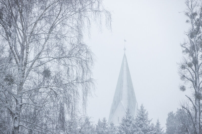 Снежный Калининград в четверг (фото) - Новости Калининграда | Александр Подгорчук / &quot;Клопс&quot;