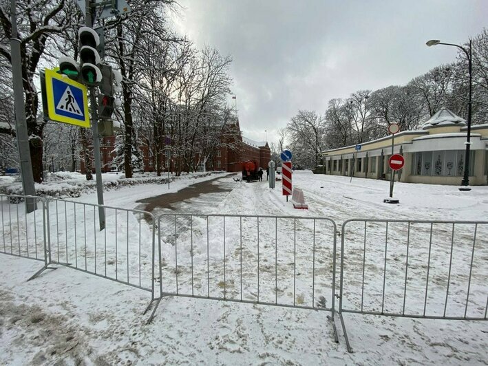 Цветы, хоровод и задержания: как прошла несогласованная акция протестов в Калининграде (фото, видео) - Новости Калининграда | Фото: &quot;Клопс&quot;