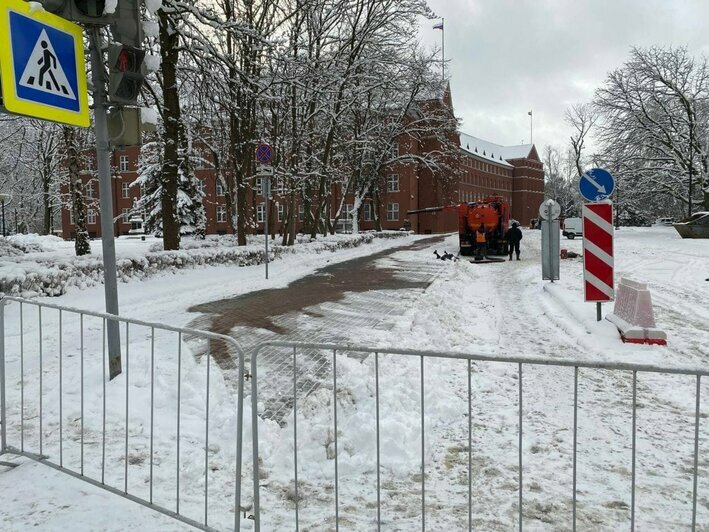 Цветы, хоровод и задержания: как прошла несогласованная акция протестов в Калининграде (фото, видео) - Новости Калининграда | Фото: &quot;Клопс&quot;